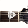 Innovative Pick Capo