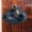 Strap lock system for taylor guitars