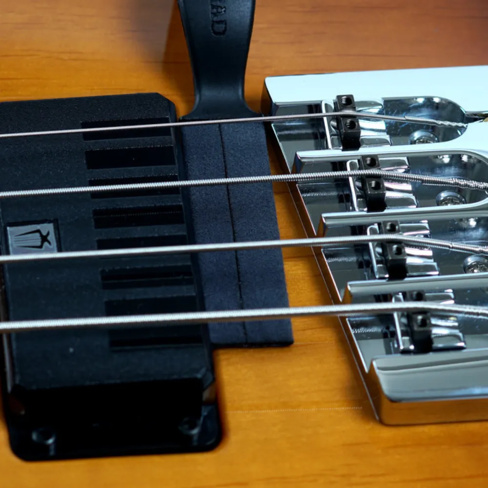 Bass Cleaner